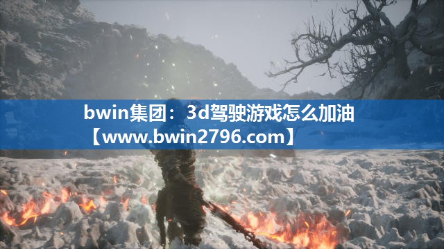 bwin集团：3d驾驶游戏怎么加油